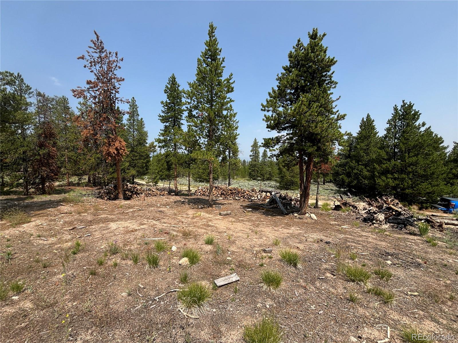 360 Ponderosa Drive