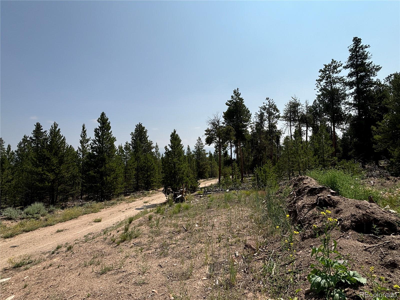 360 Ponderosa Drive
