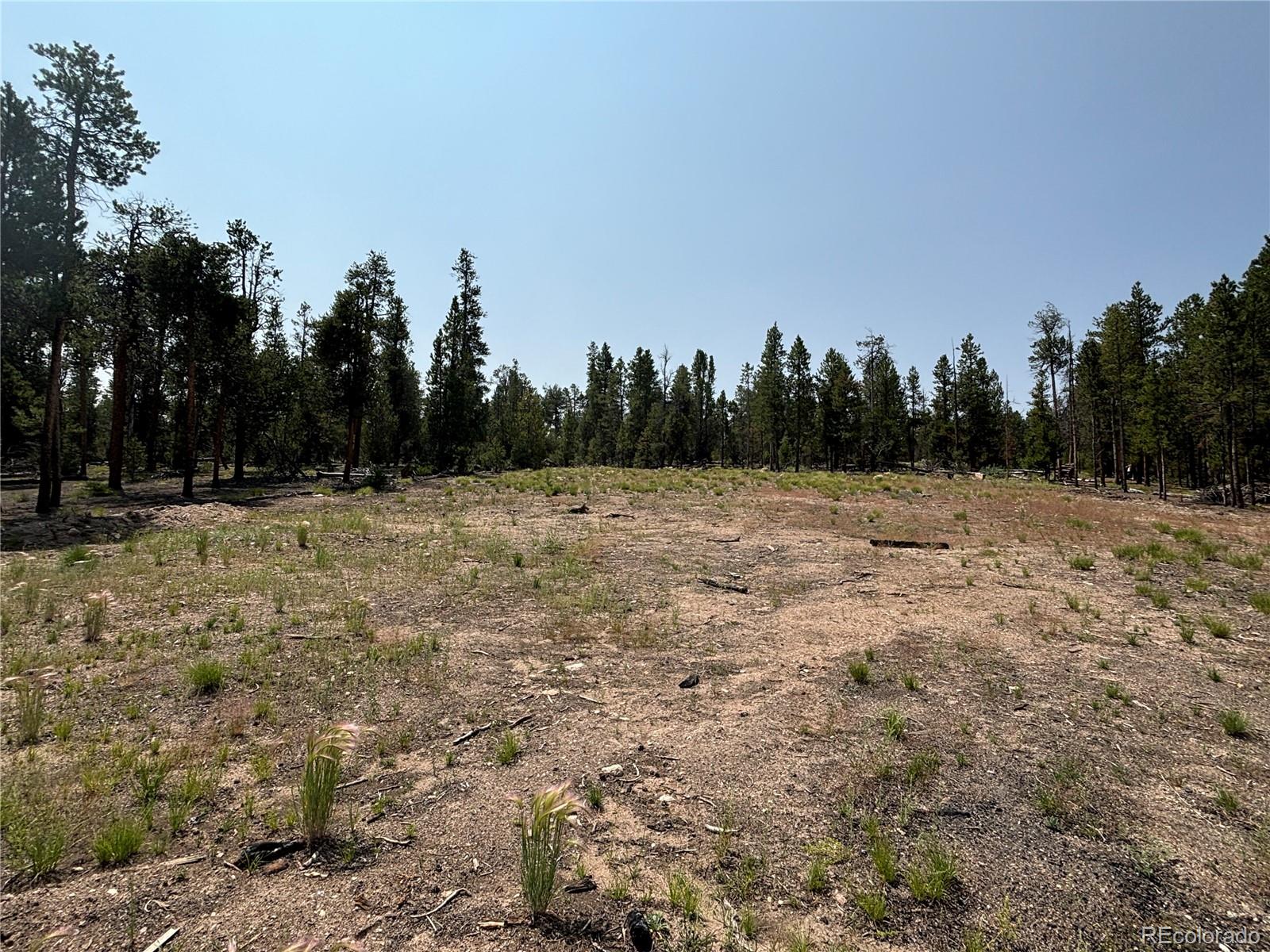360 Ponderosa Drive