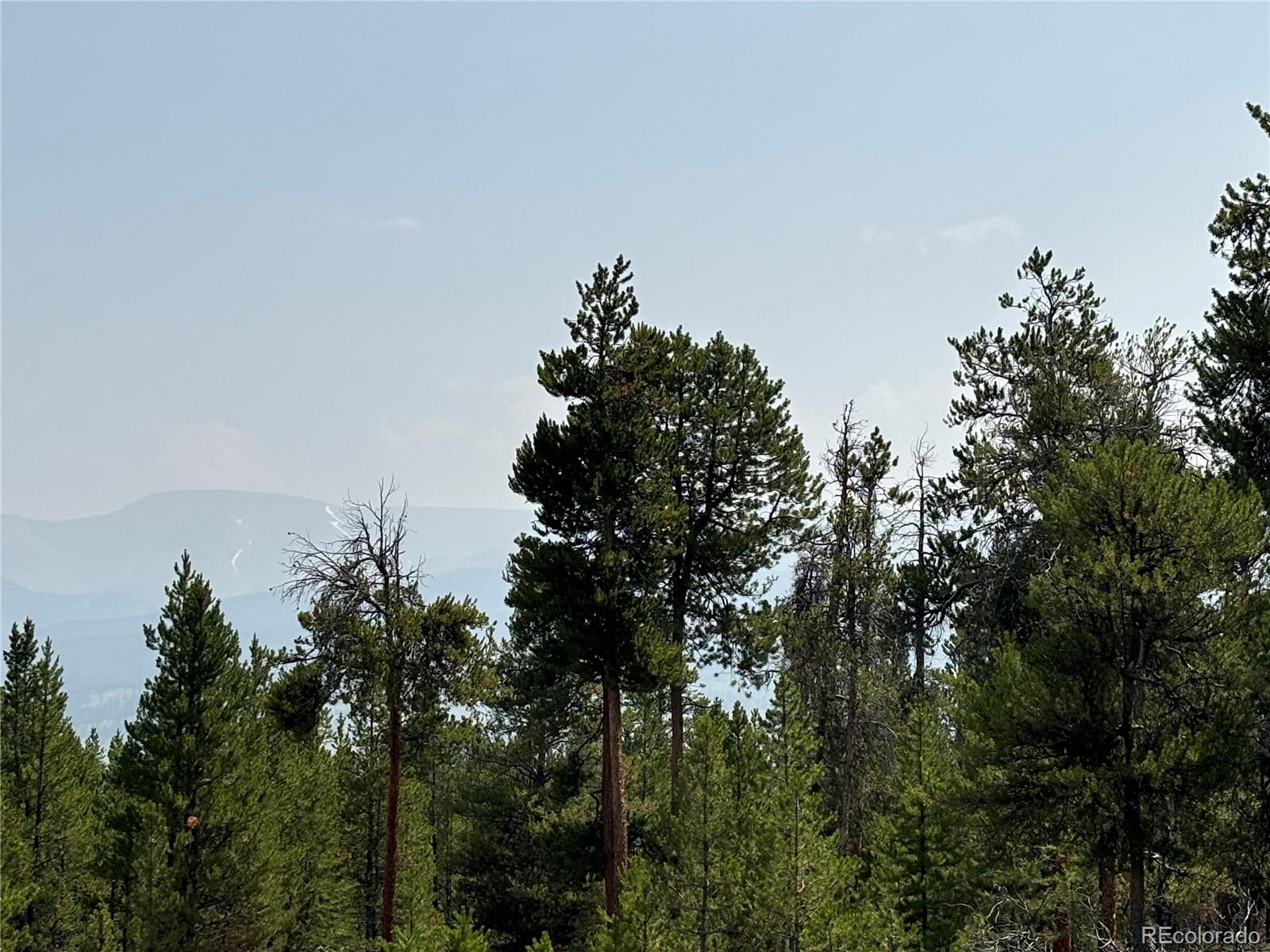360 Ponderosa Drive