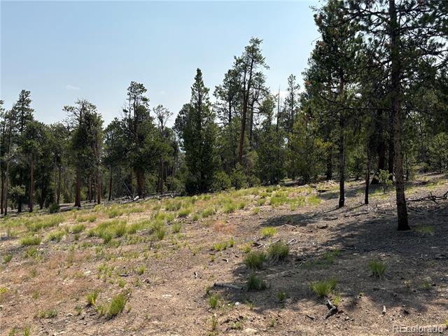 360 Ponderosa Drive