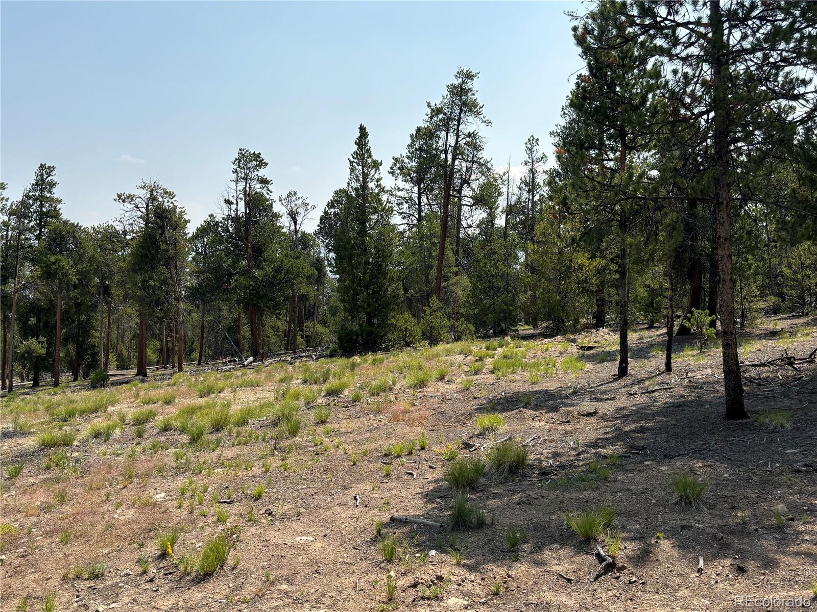 360 Ponderosa Drive