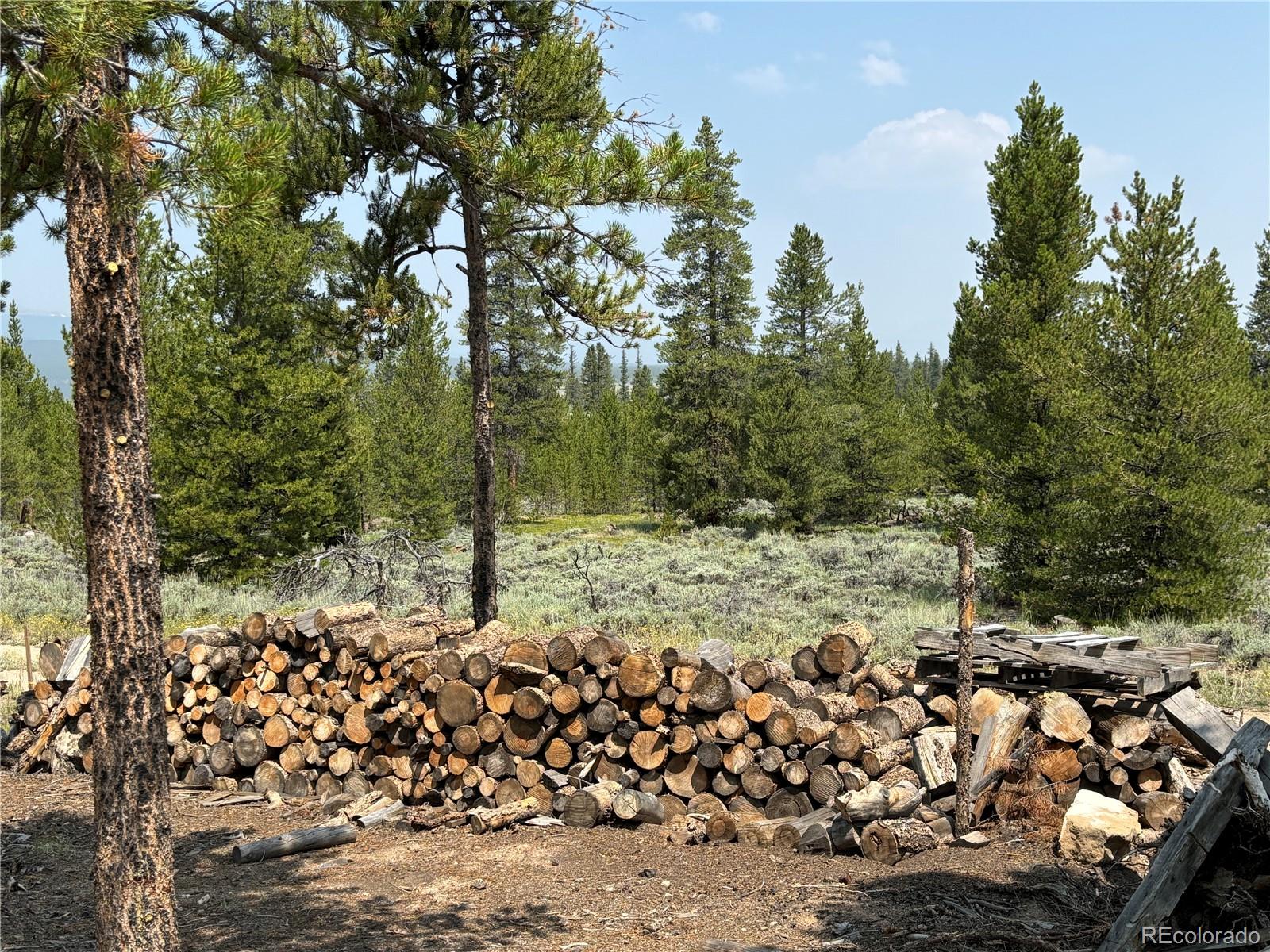 360 Ponderosa Drive