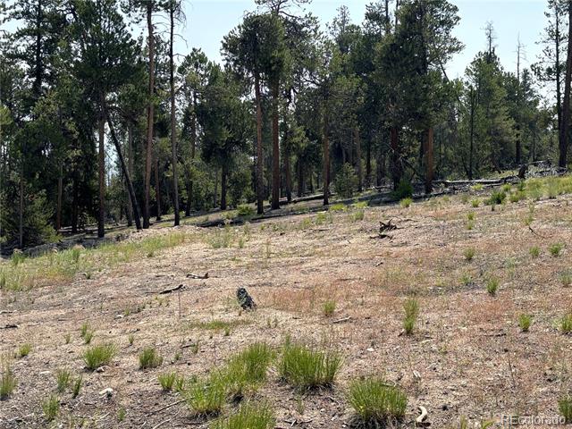 360 Ponderosa Drive