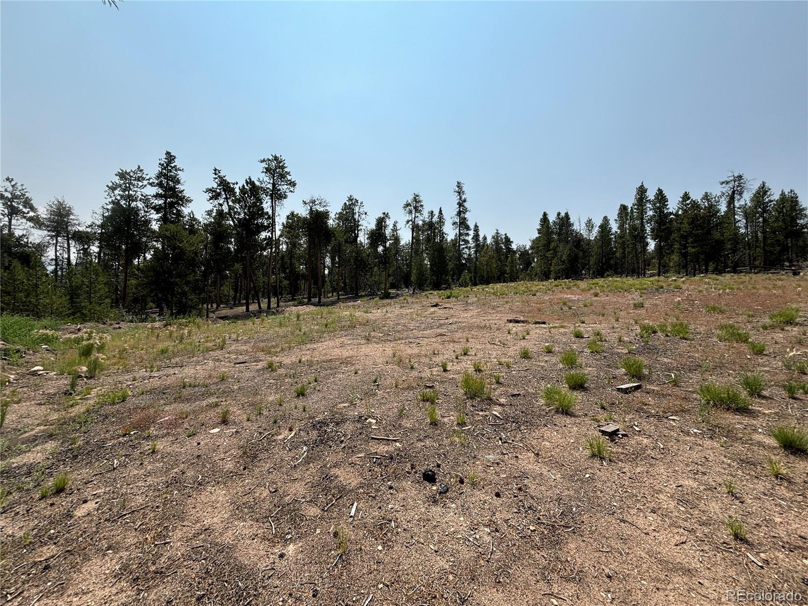 360 Ponderosa Drive