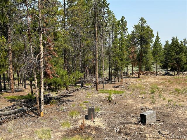 360 Ponderosa Drive