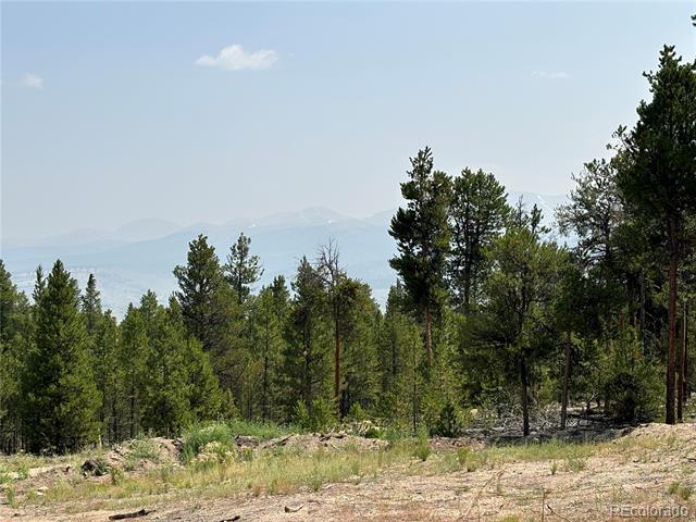 360 Ponderosa Drive