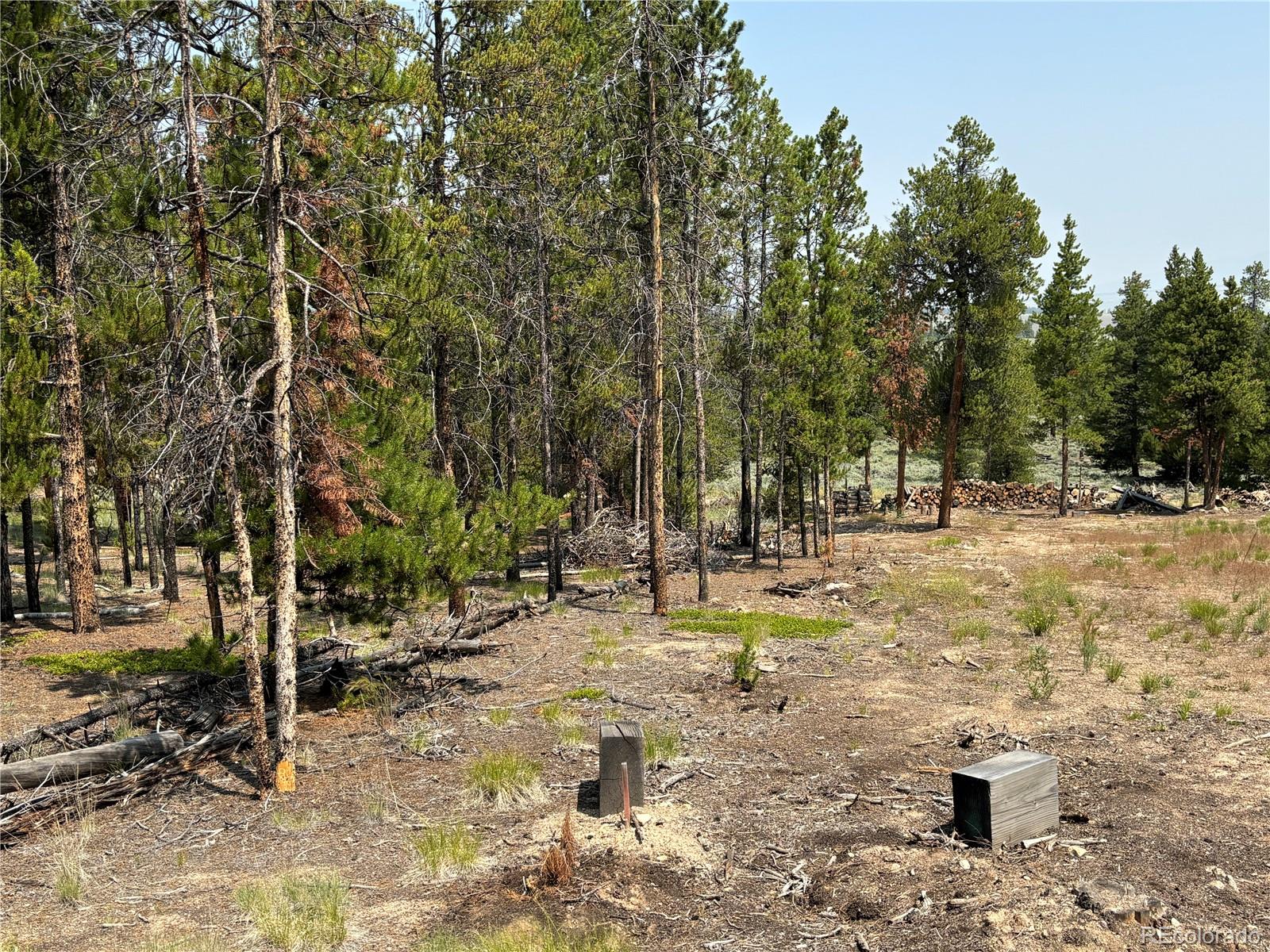 360 Ponderosa Drive