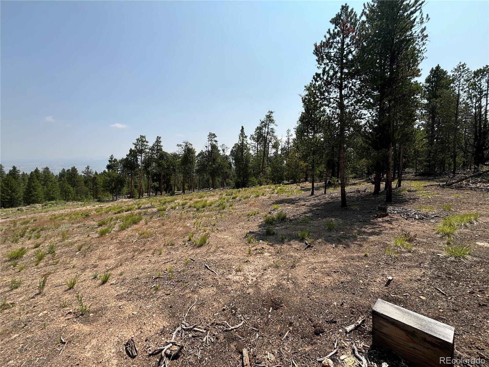 360 Ponderosa Drive