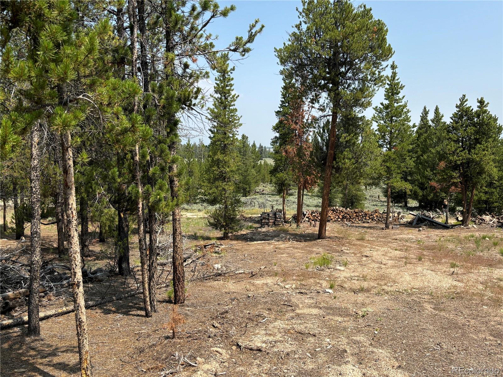 360 Ponderosa Drive