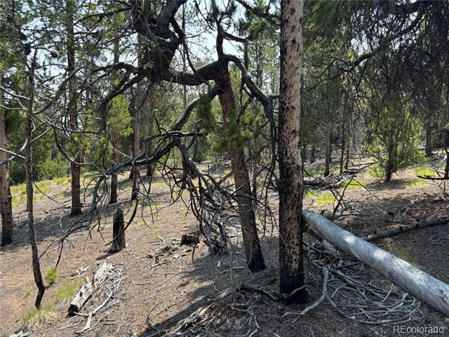 360 Ponderosa Drive