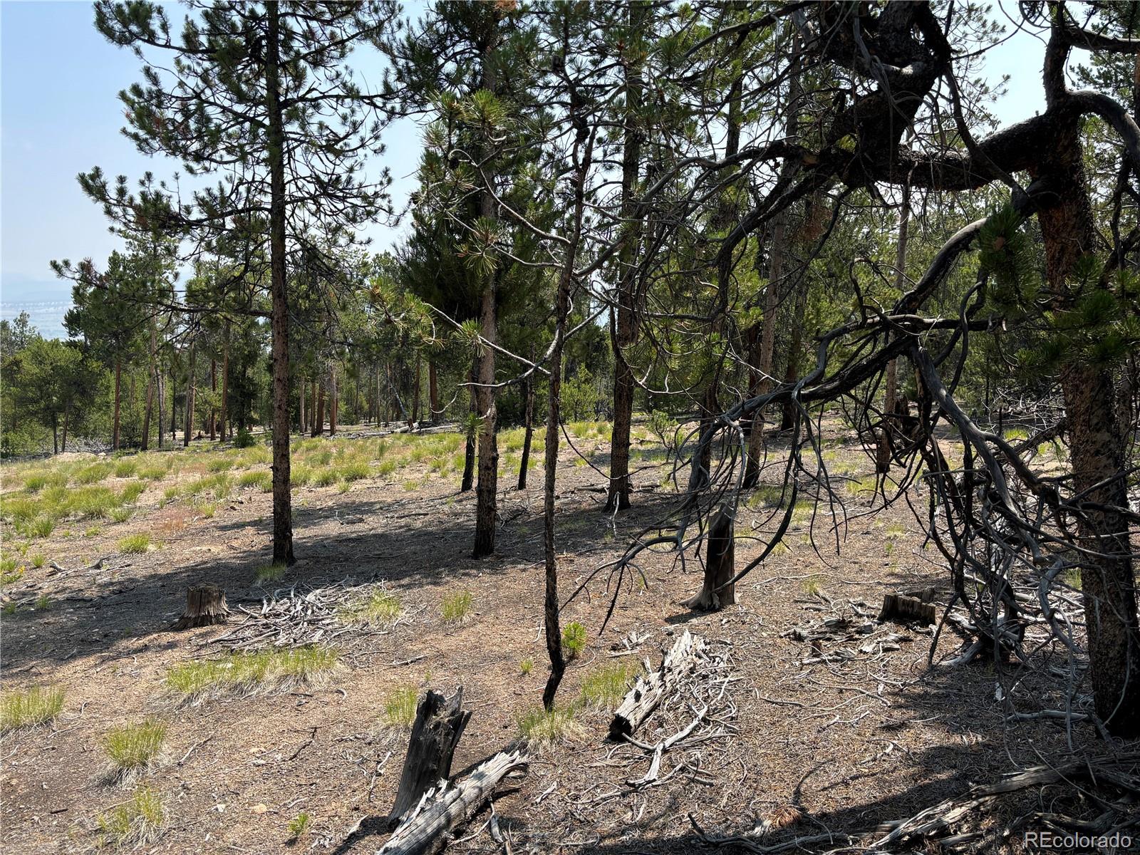 360 Ponderosa Drive