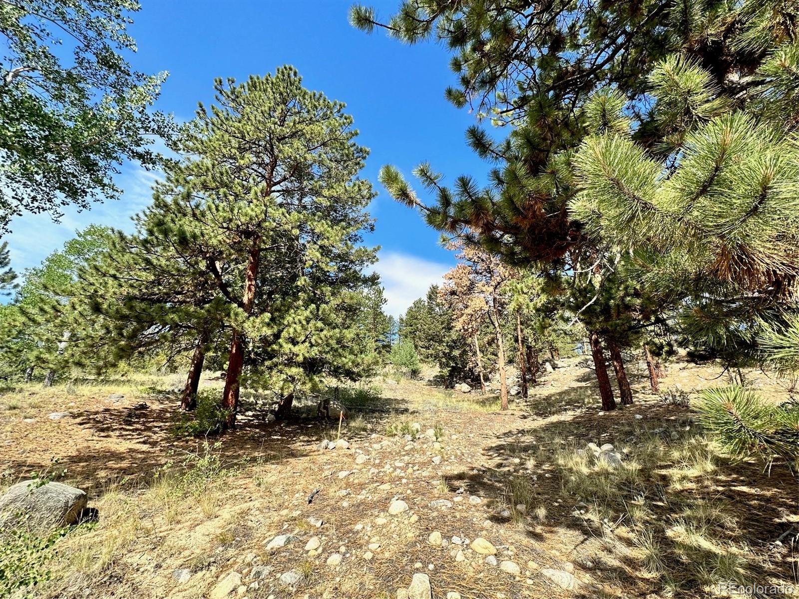 30121 Eagles Ridge
