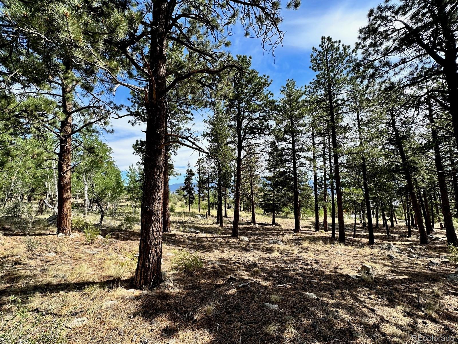 30121 Eagles Ridge