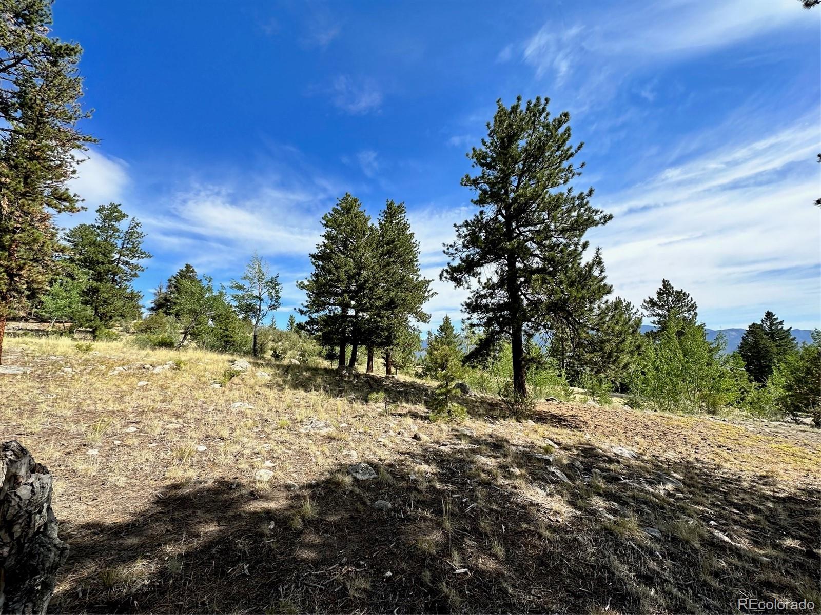 30121 Eagles Ridge