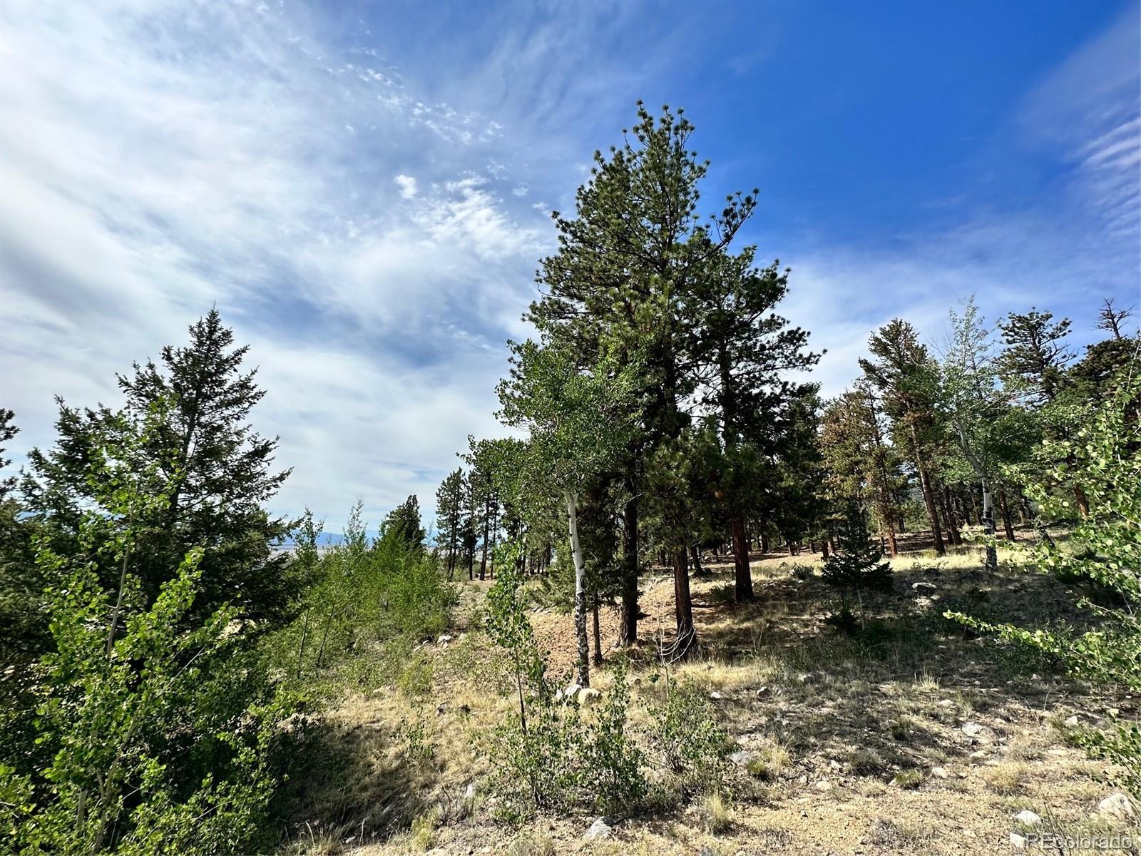 30121 Eagles Ridge