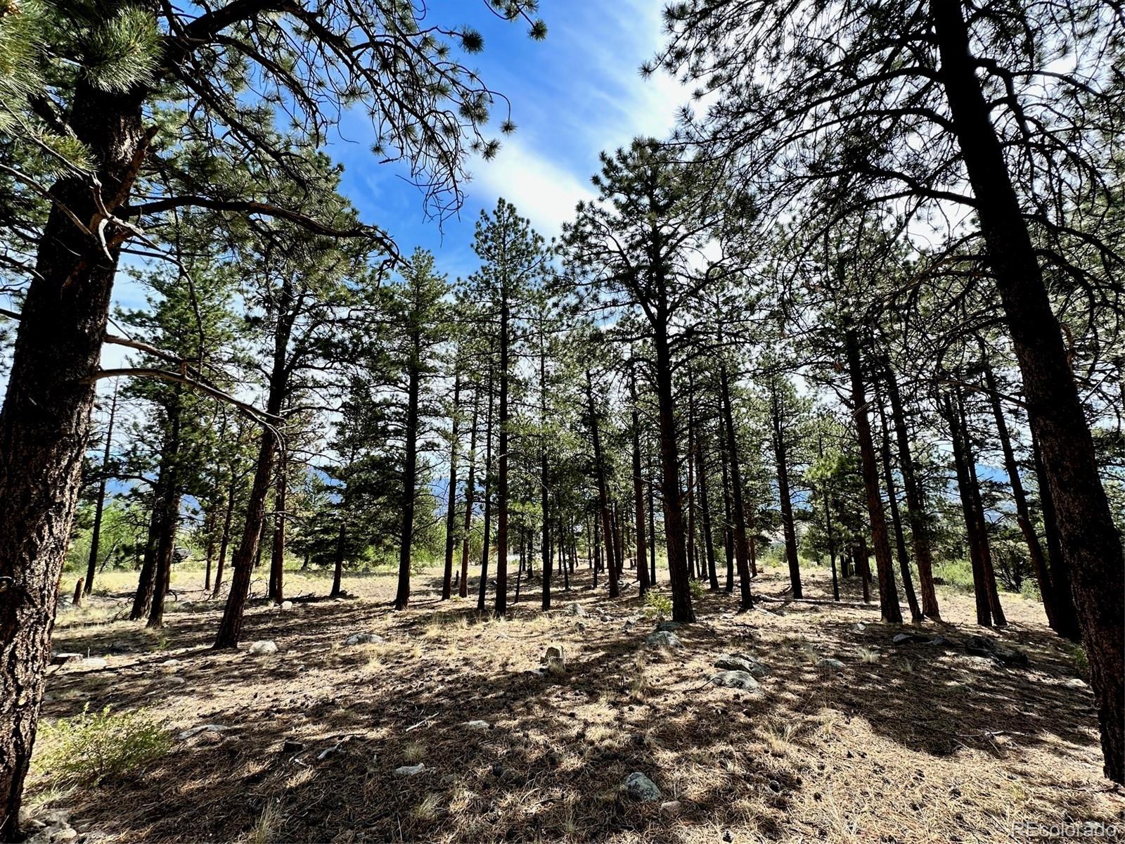 30121 Eagles Ridge
