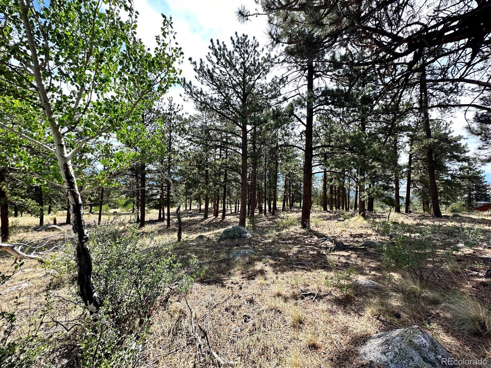 30121 Eagles Ridge