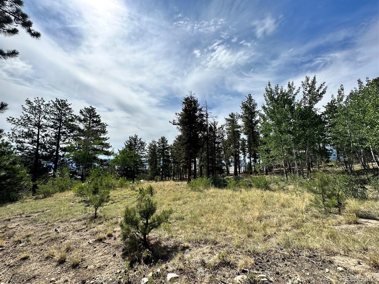 30121 Eagles Ridge