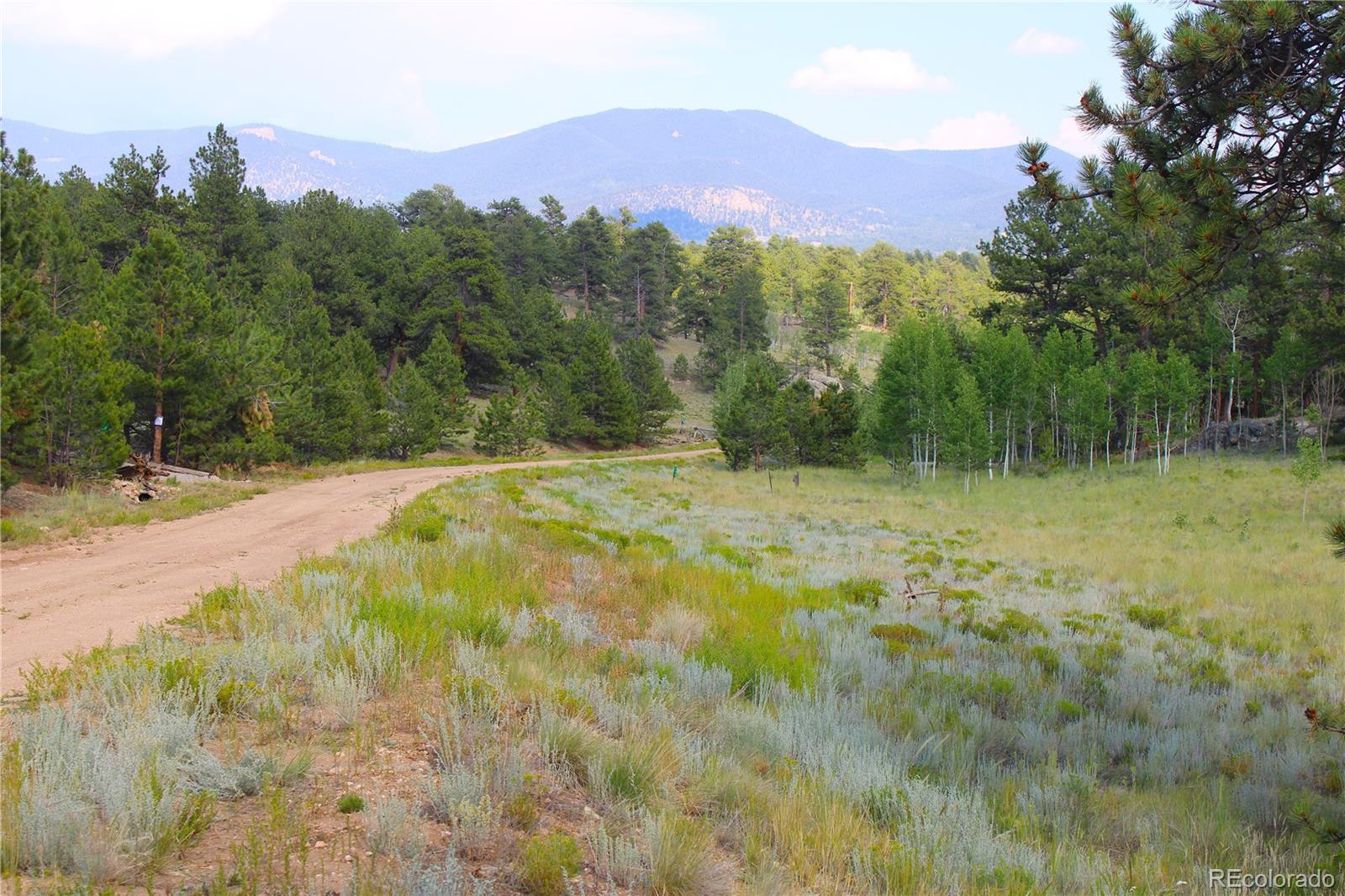 128 Shenandoah Path