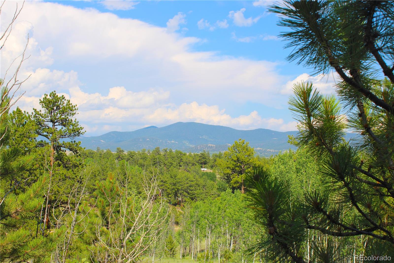 128 Shenandoah Path