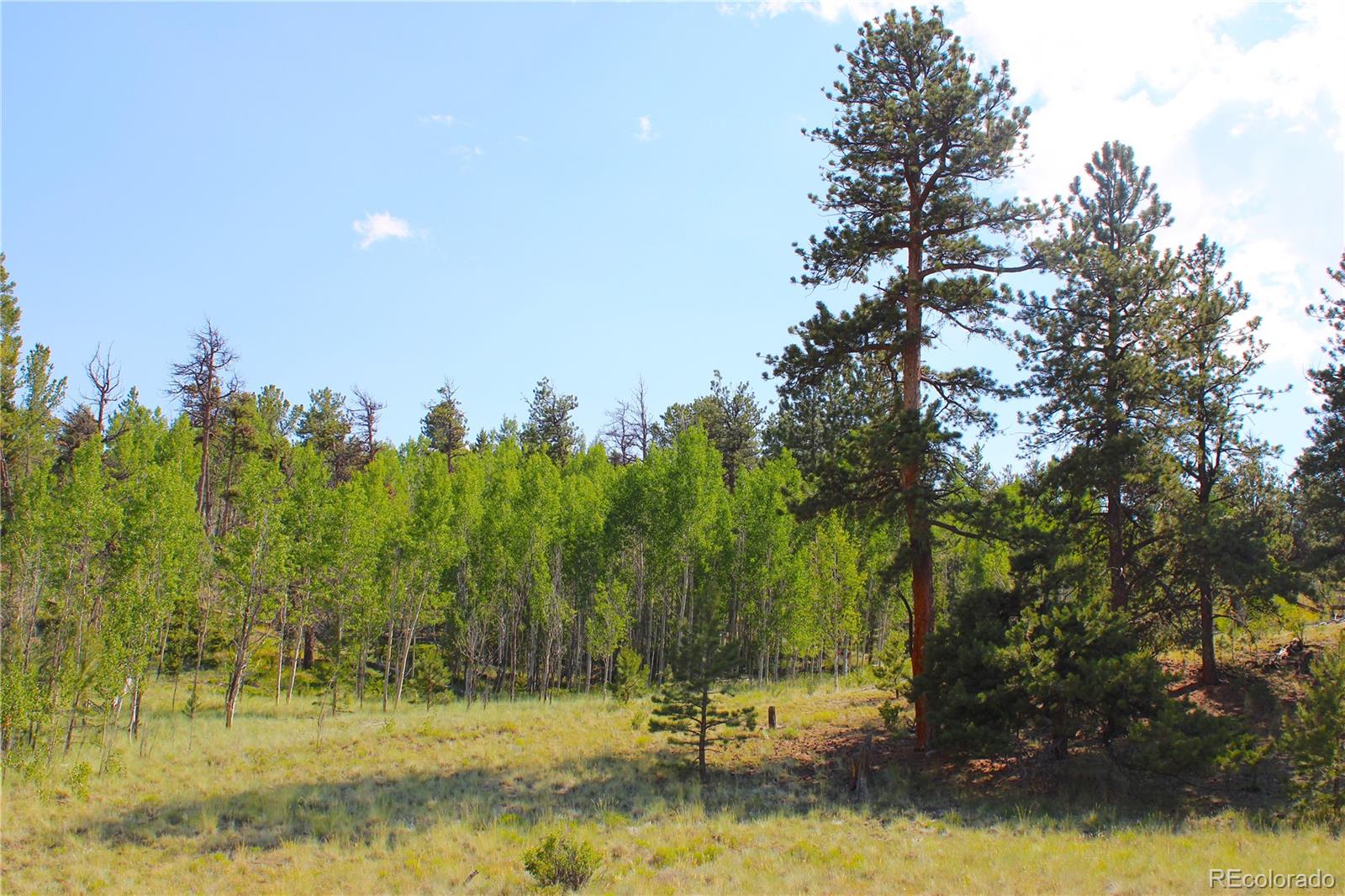 128 Shenandoah Path