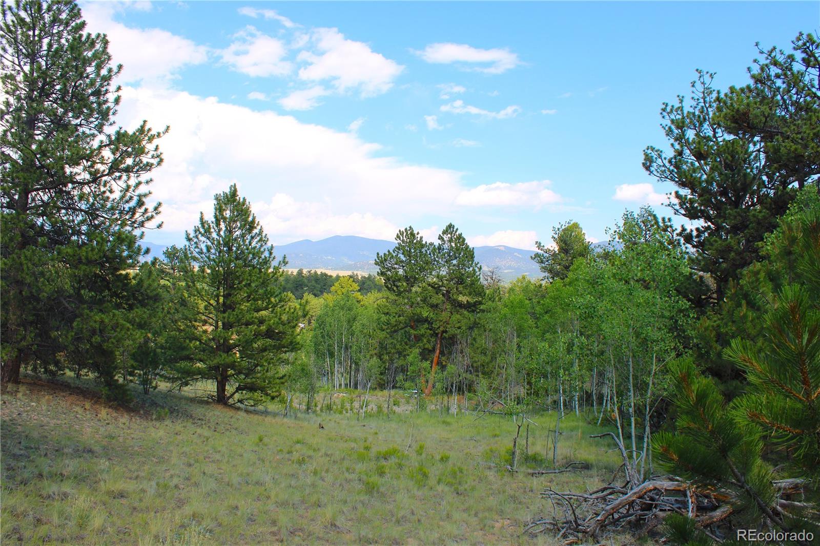 128 Shenandoah Path