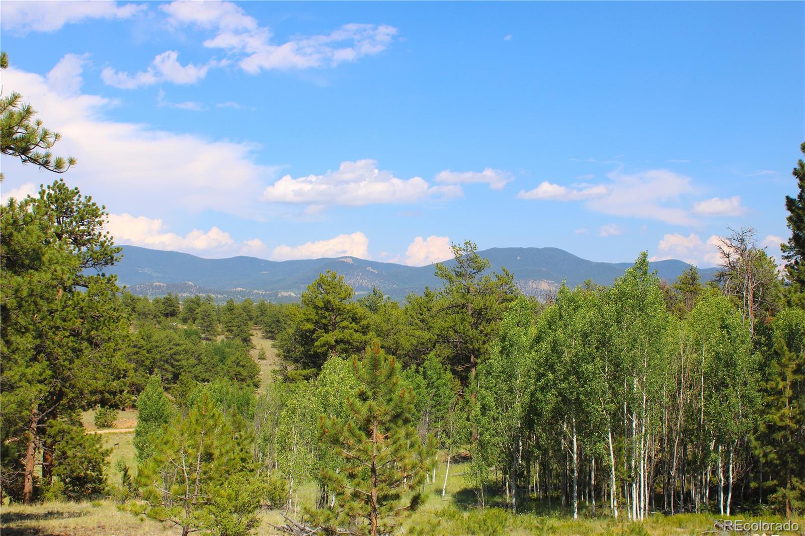 128 Shenandoah Path