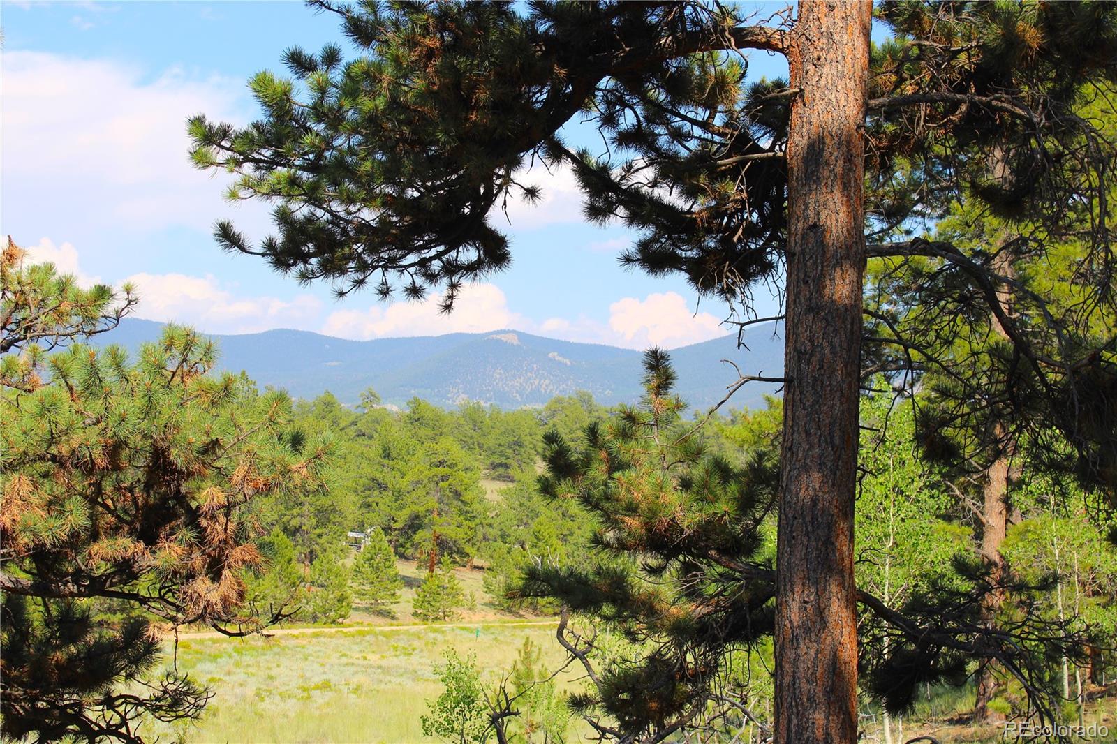 128 Shenandoah Path