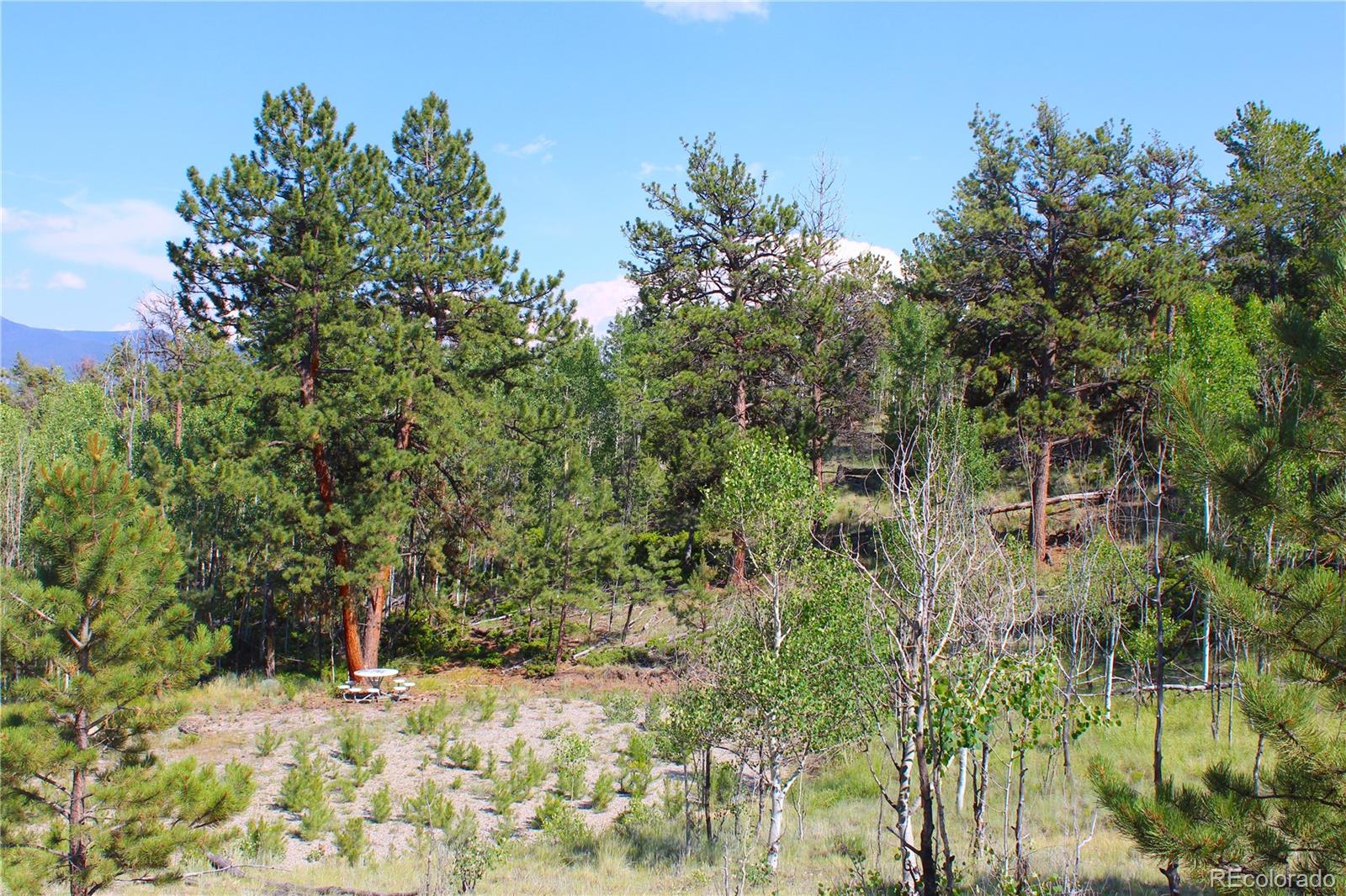128 Shenandoah Path