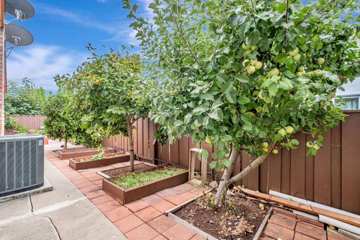 4516 Roderigo Court