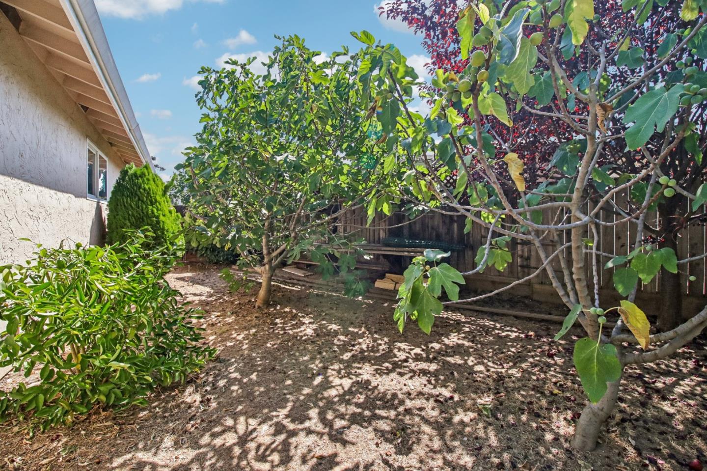 8135 Las Animas Court