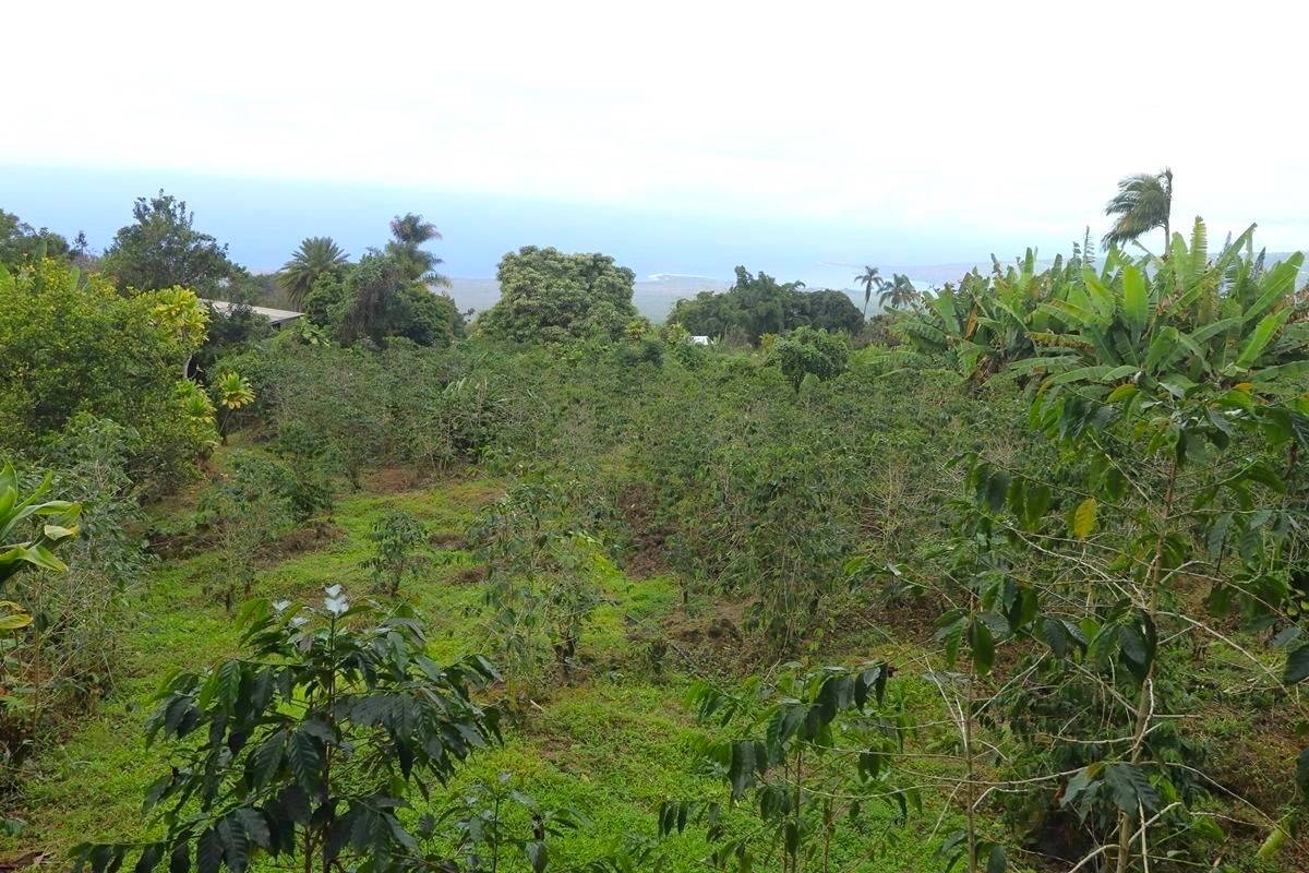 84-5018-P Hawaii Belt Rd