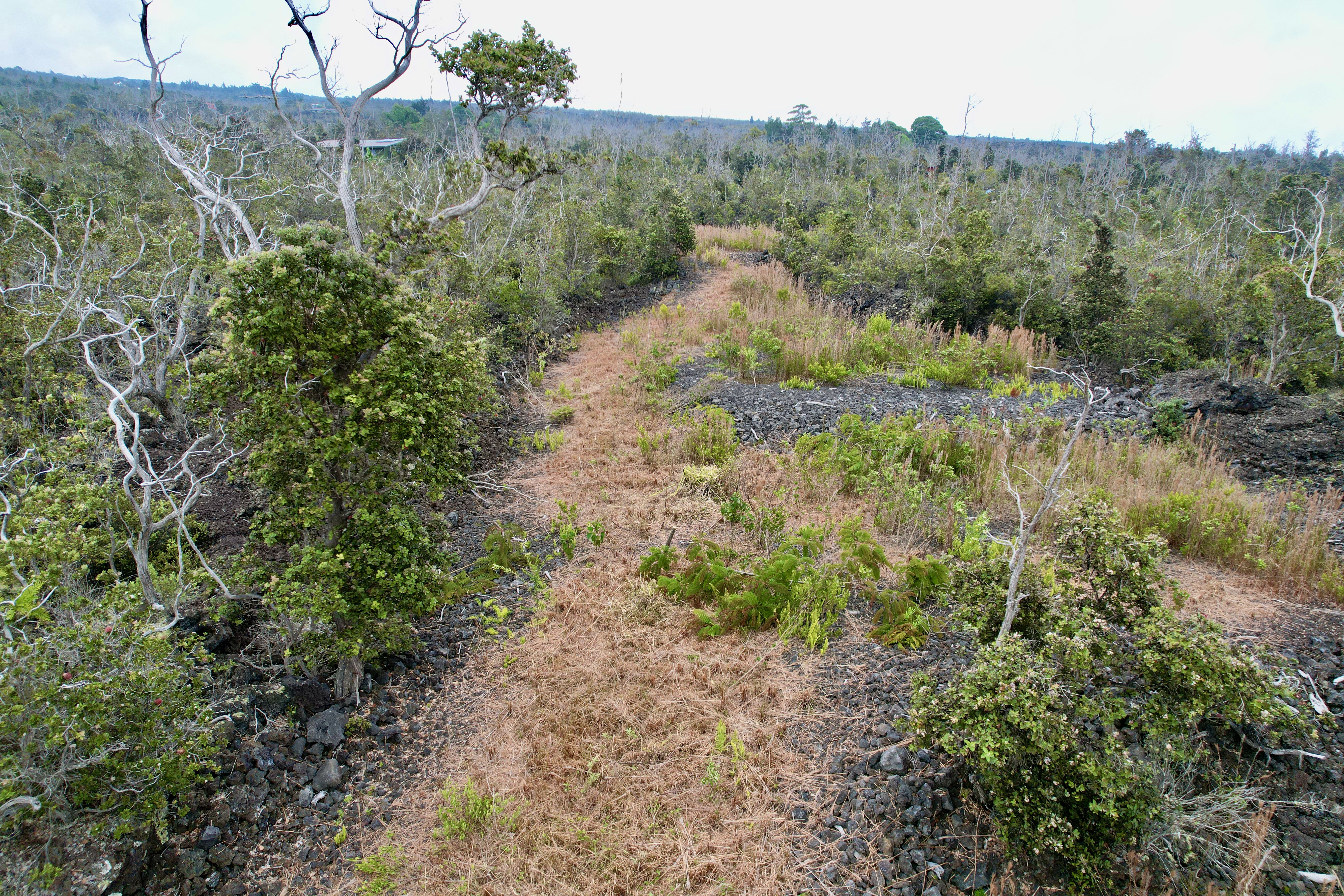 PARADISE PKWY