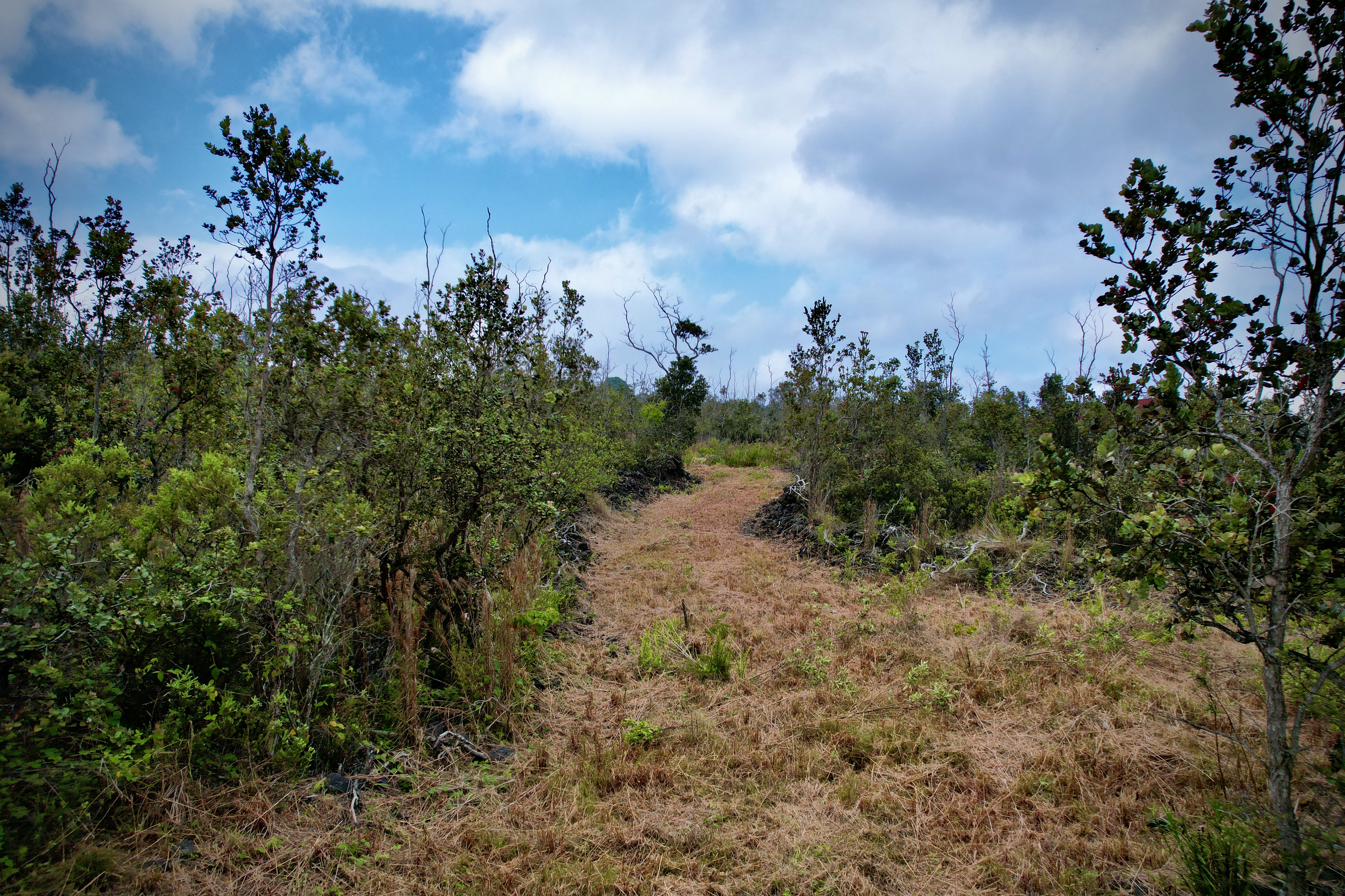 PARADISE PKWY