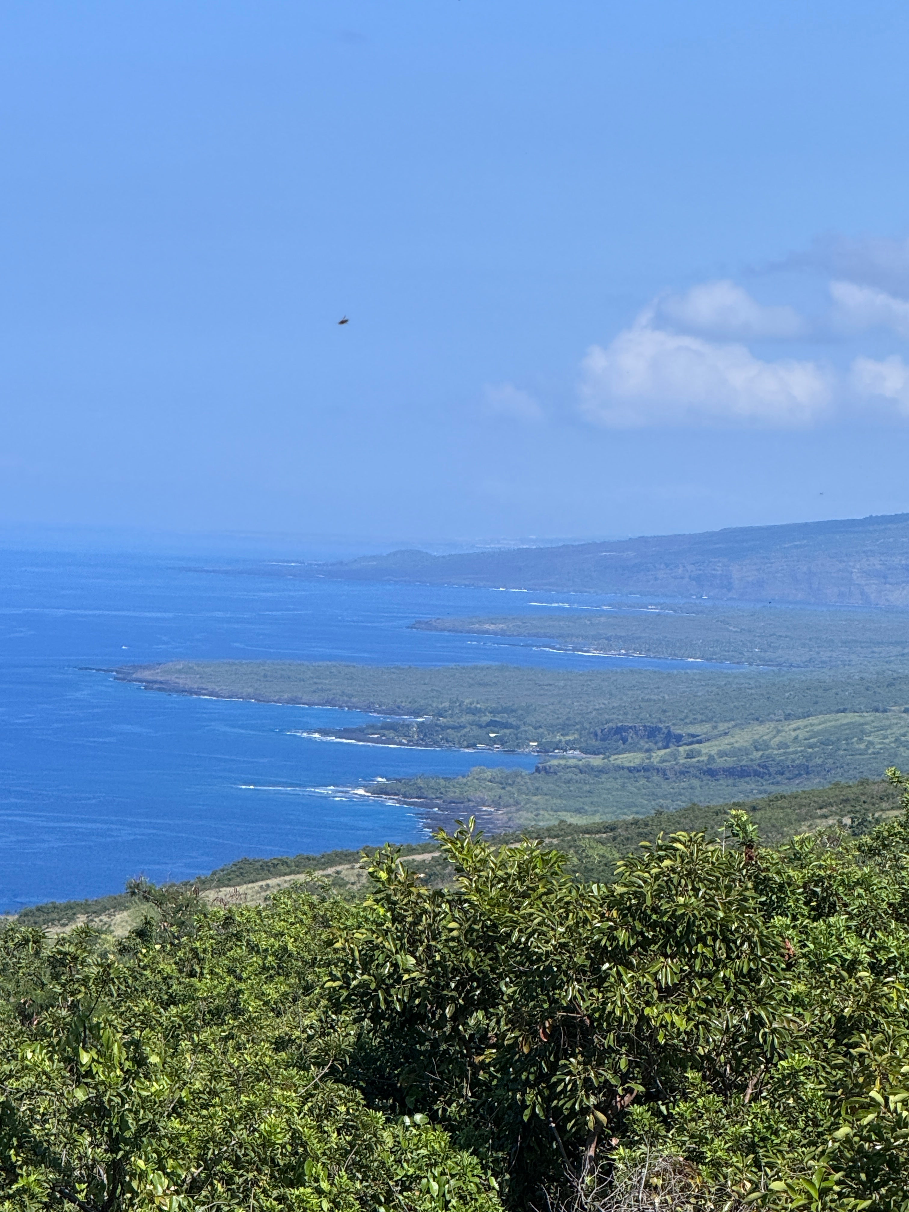 87-4539 KEAHI KAI PL B
