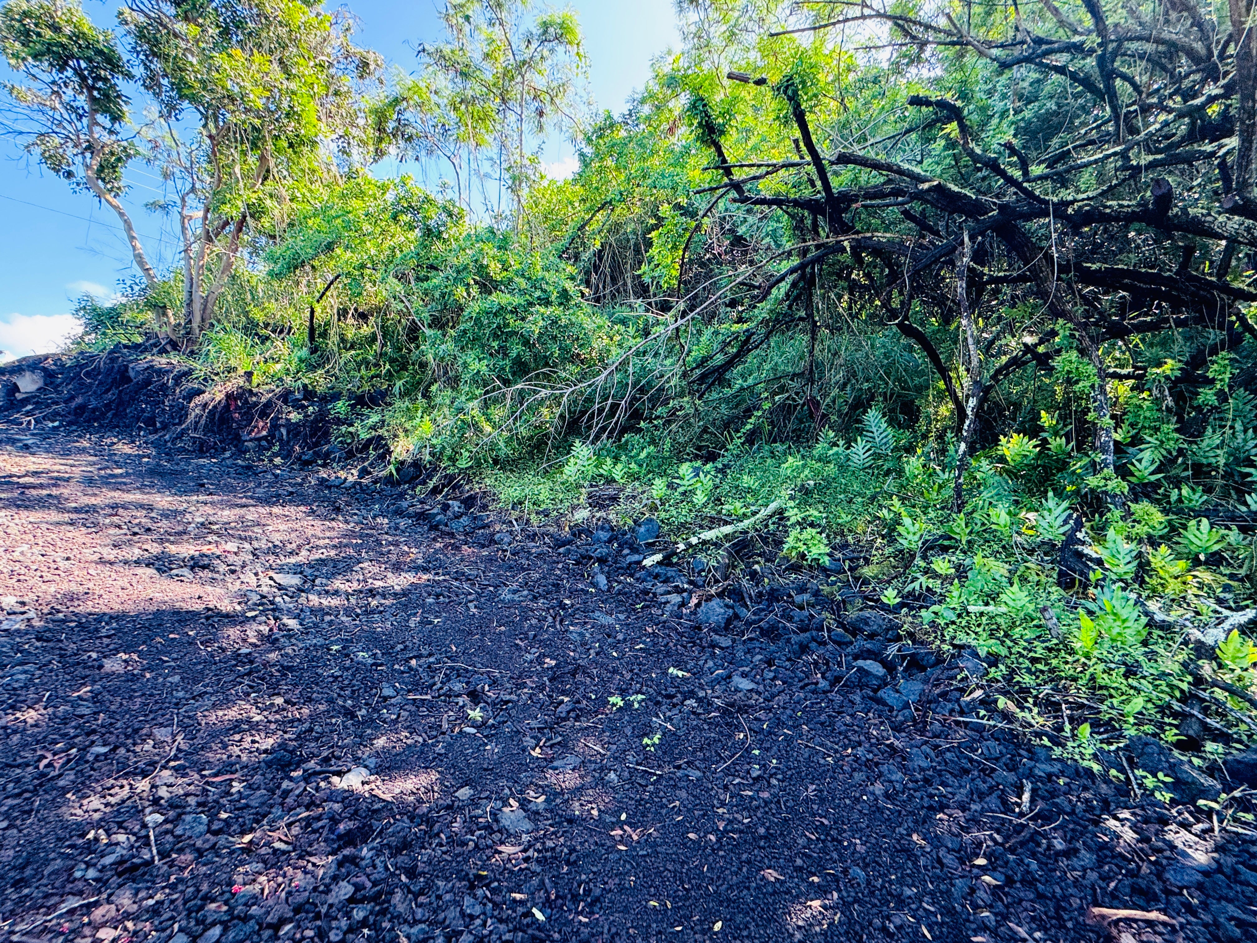 87-4539 KEAHI KAI PL B