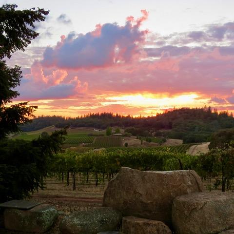 12551 Steiner Road