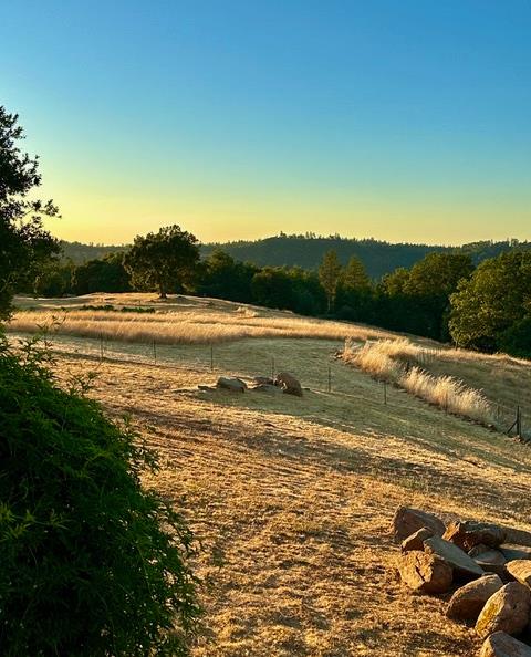 12551 Steiner Road