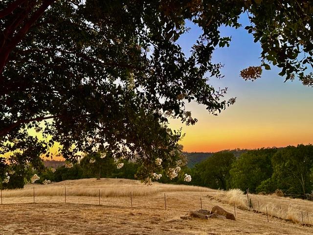 12551 Steiner Road