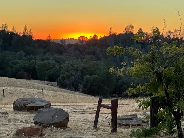 12551 Steiner Road