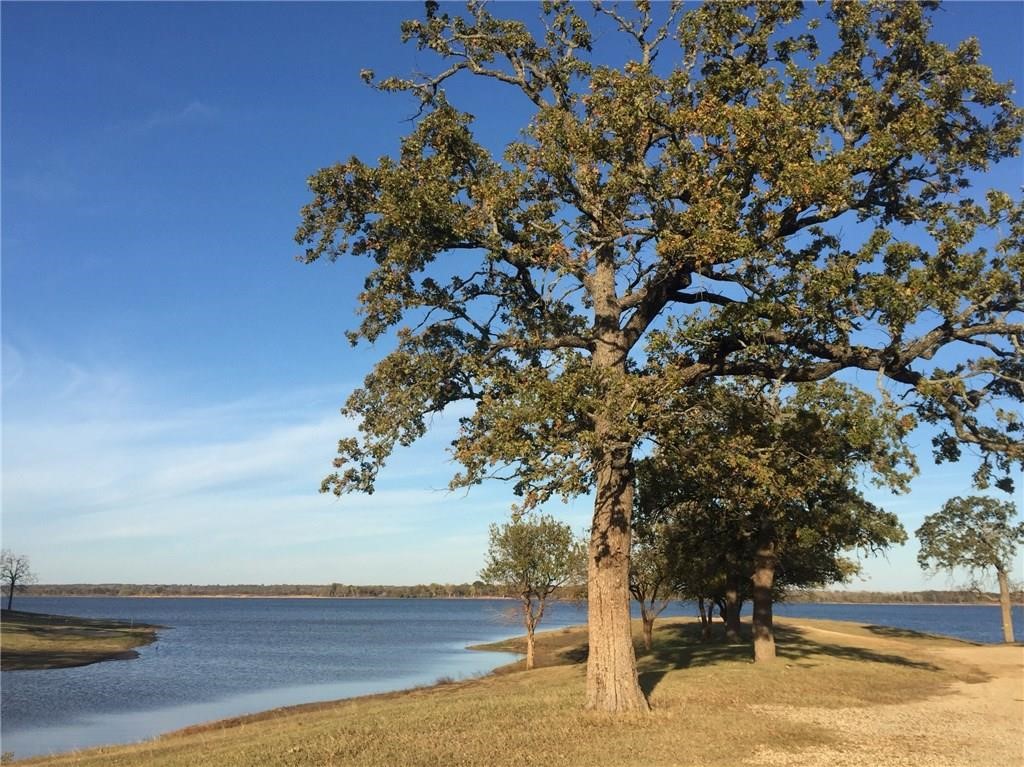 239 Barrington Circle