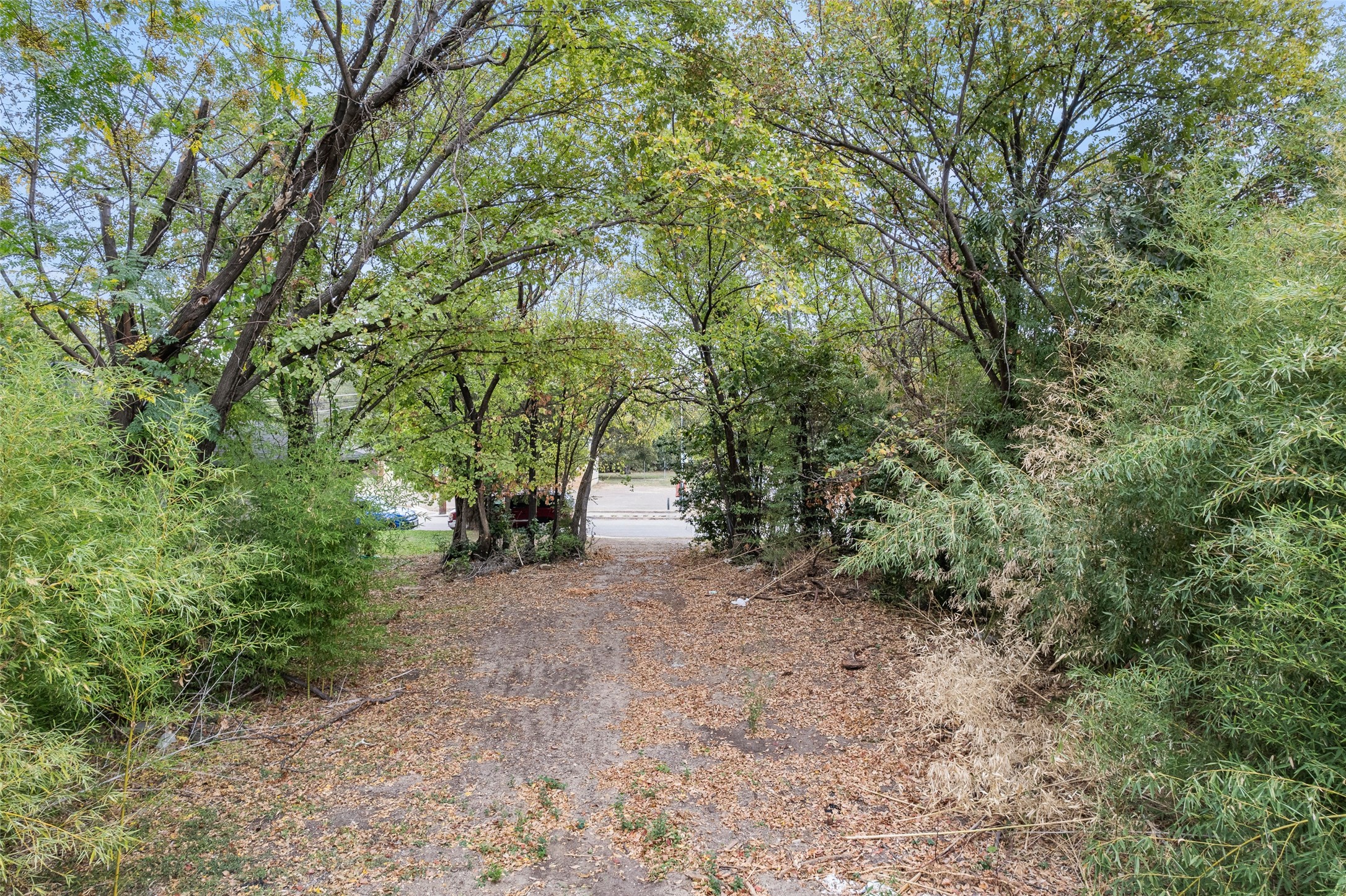 2503 Lawrence Street