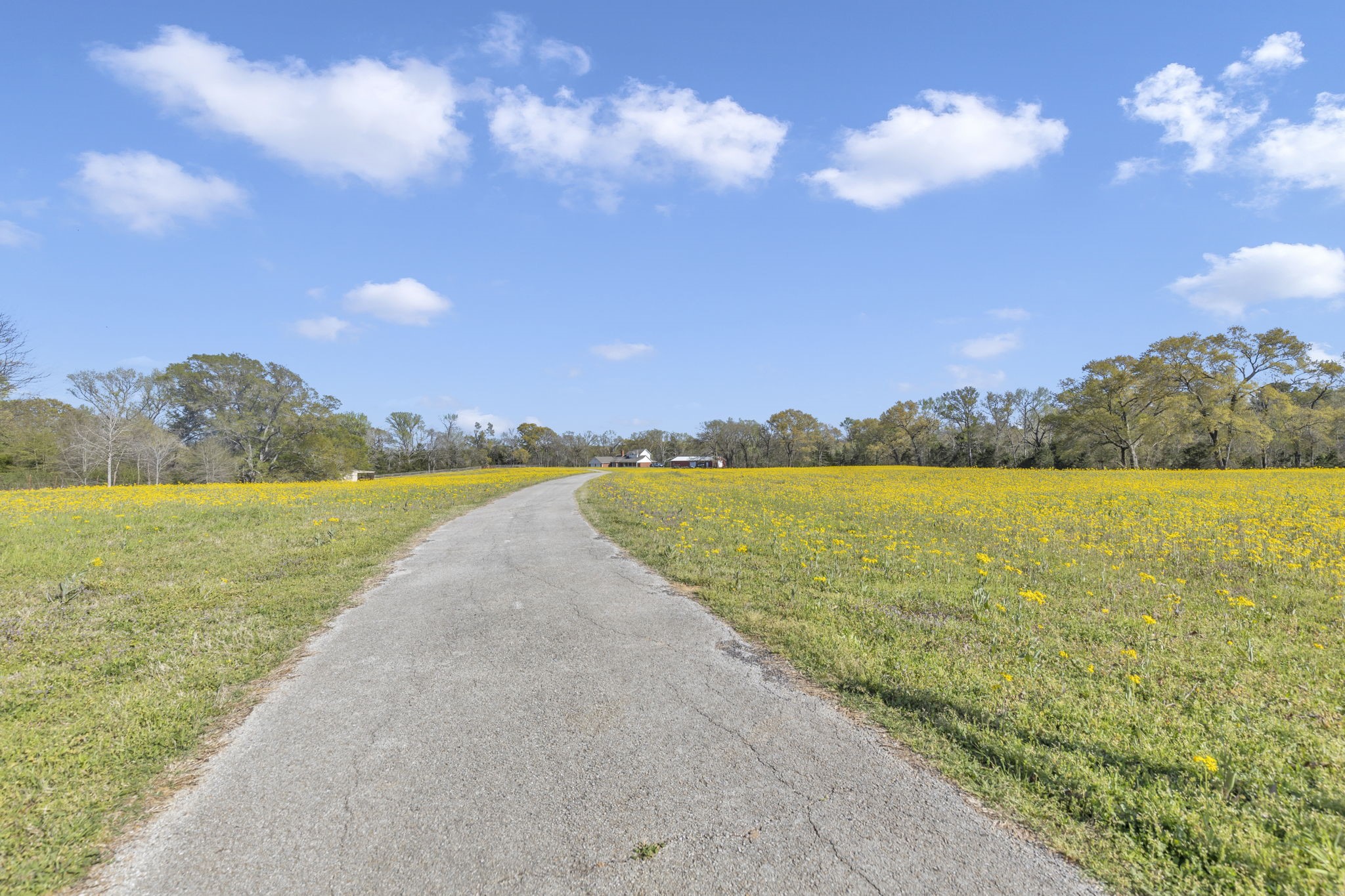 18340 County Road 479 Road
