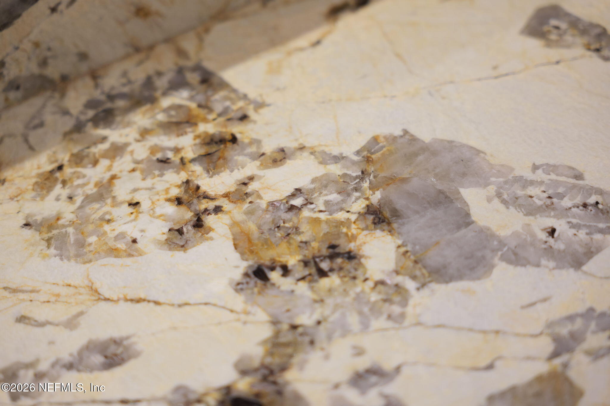 24733 HARBOUR VIEW Drive