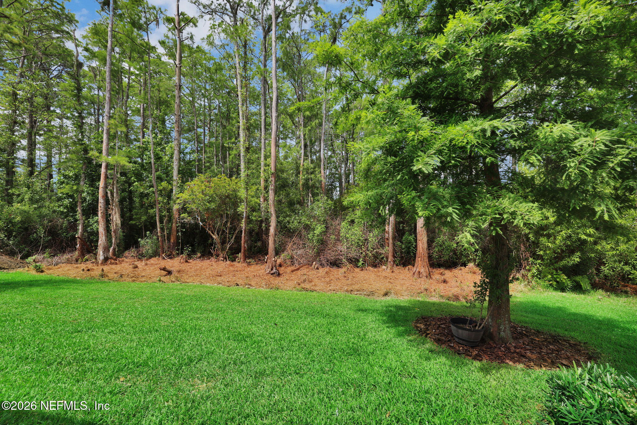 301 QUAIL VISTA Drive