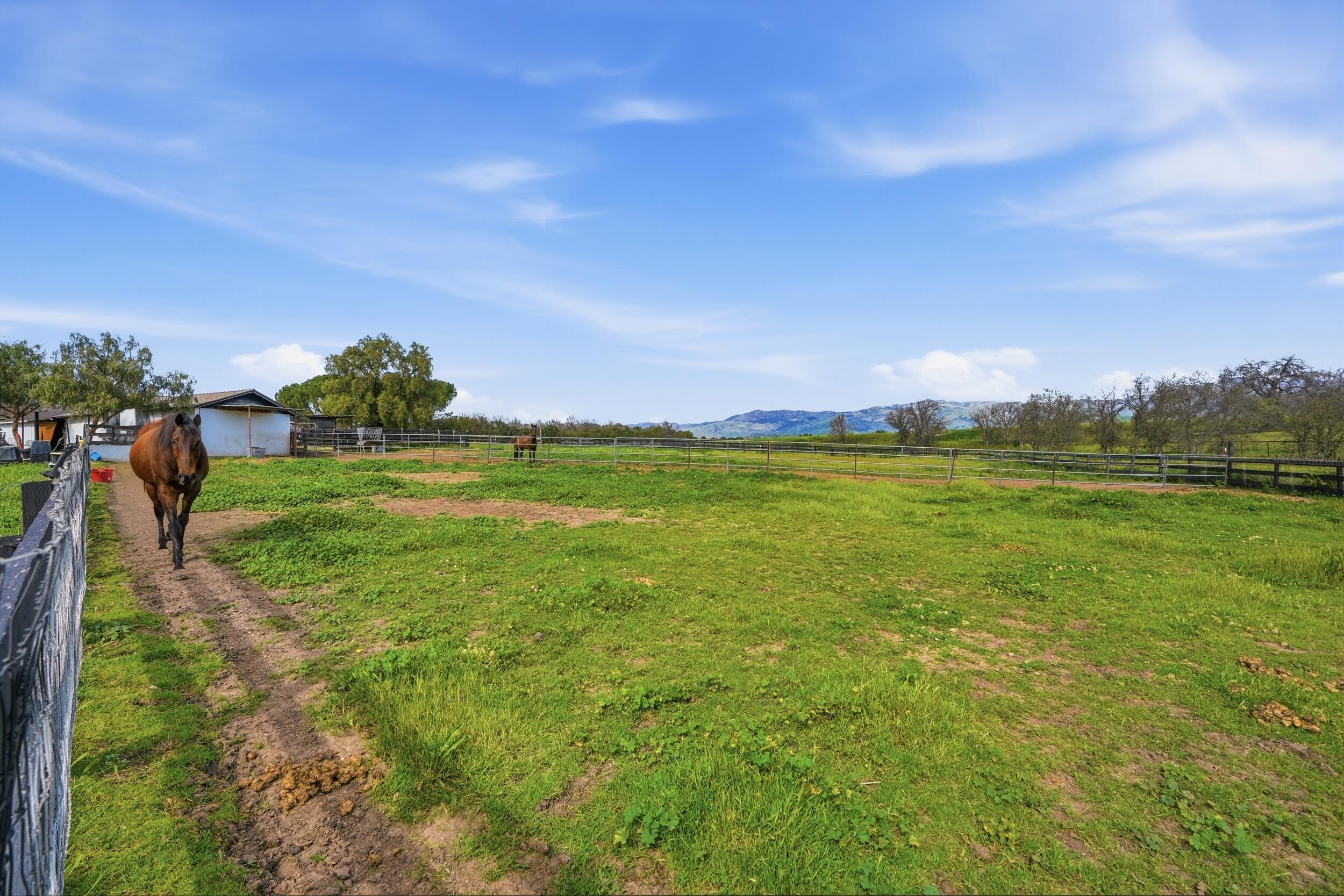 1510 Meadowvale Road