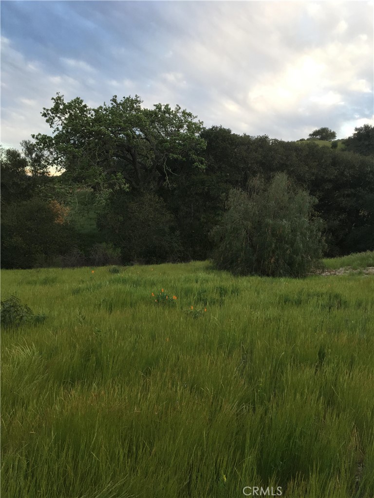 40 Bobcat Springs Road