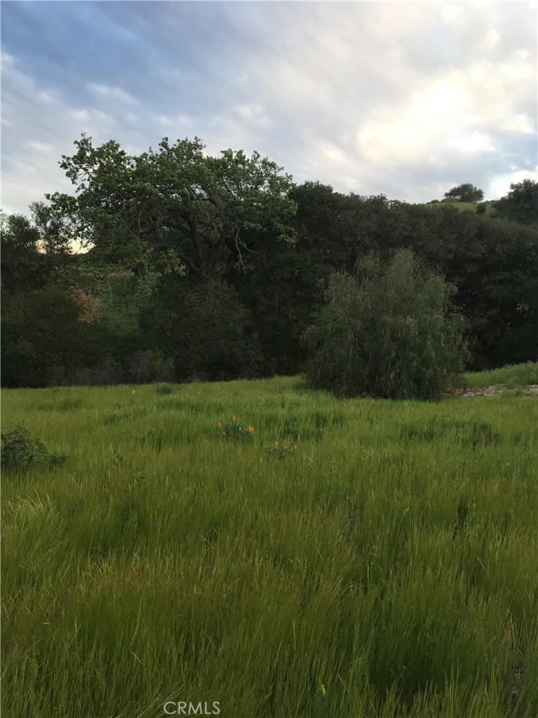 40 Bobcat Springs Road