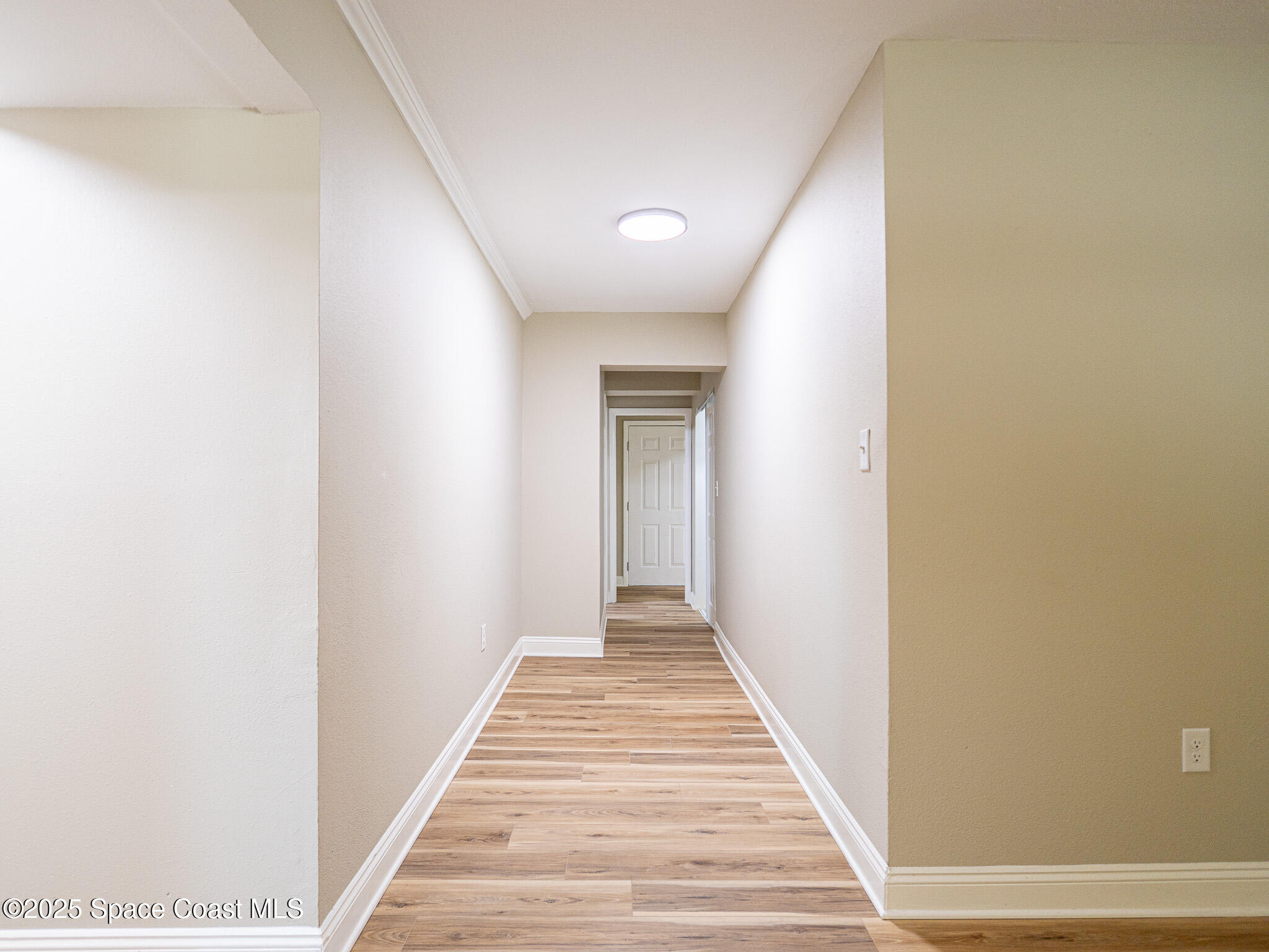 1229 Deneece Terrace